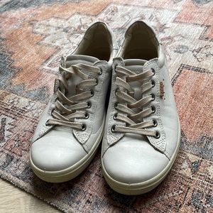 Ecco sneakers, size 36 us 5 but fits a 6 and 6.5